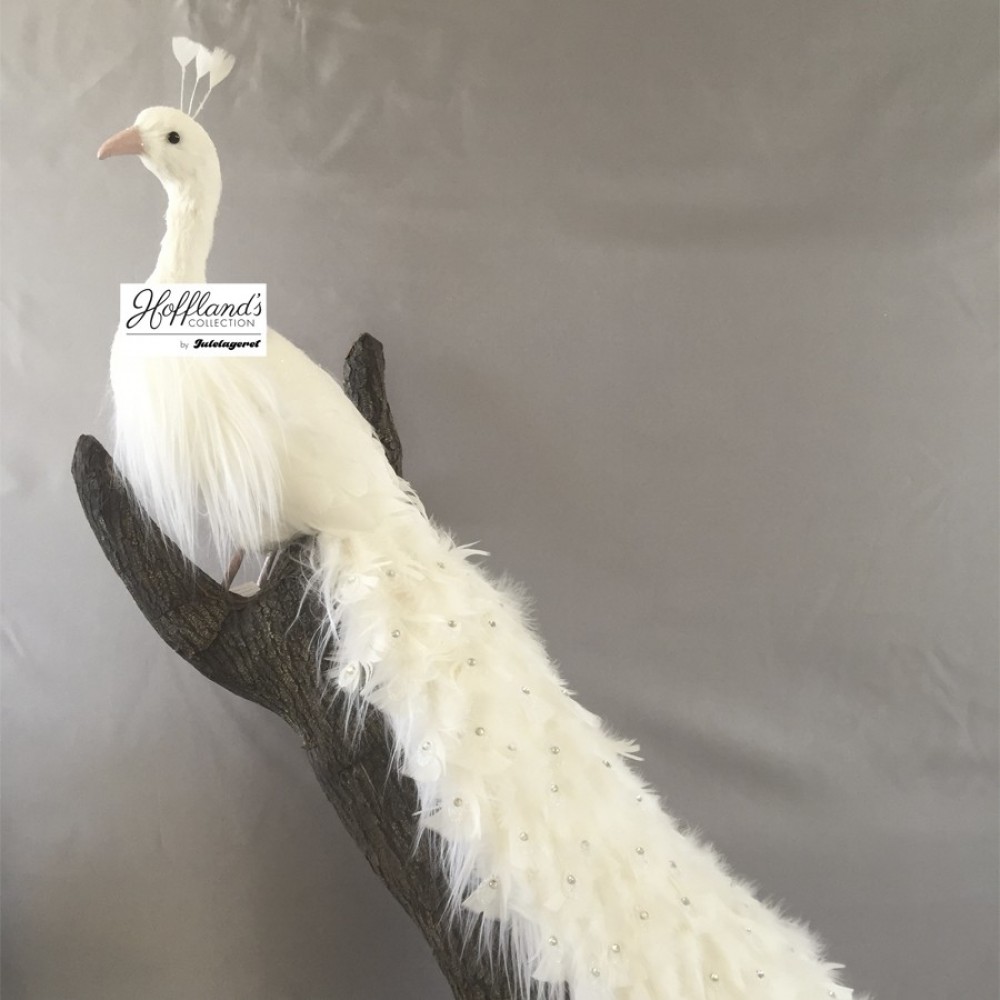 Pfuglhvidefjer86x26x41cm-31